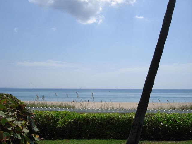 Palm Beach