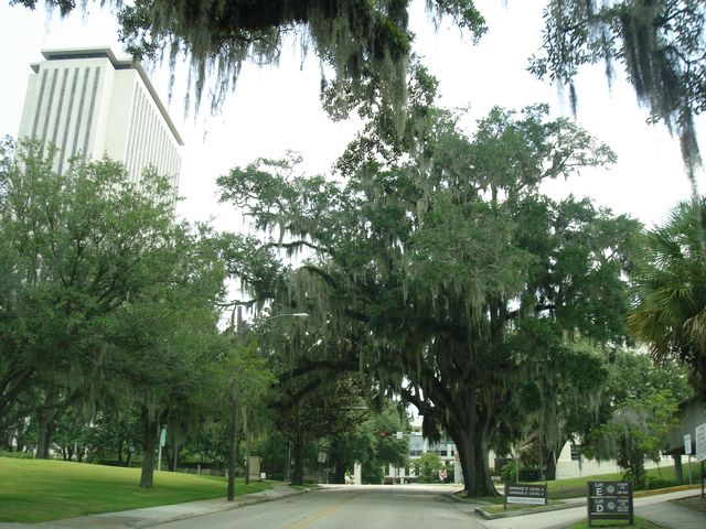 Tallahassee