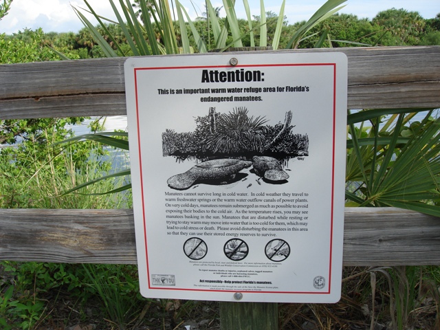 Manatee Zone