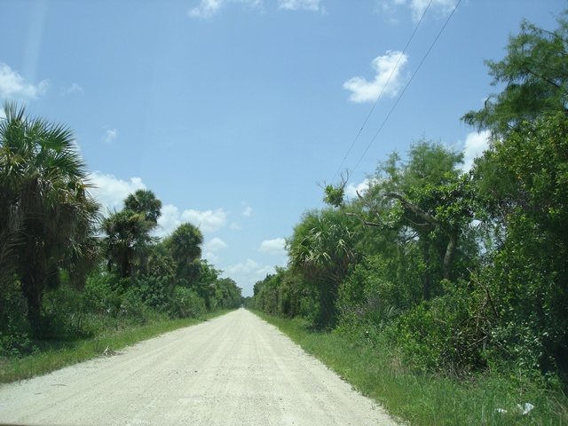 Loop Road