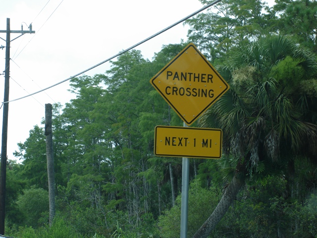 Panther Crossing
