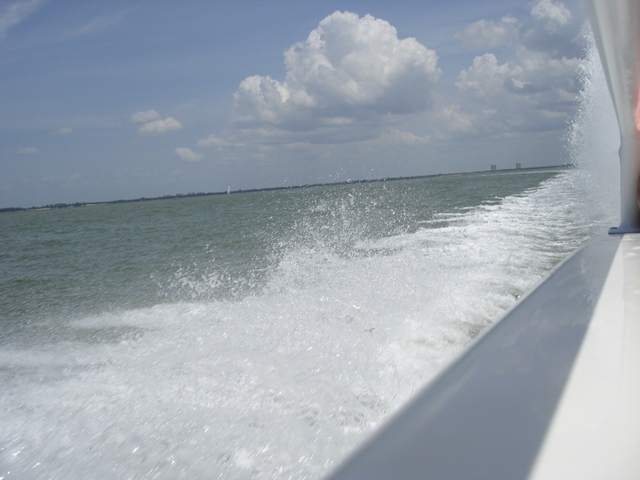 Sanibel Thriller
