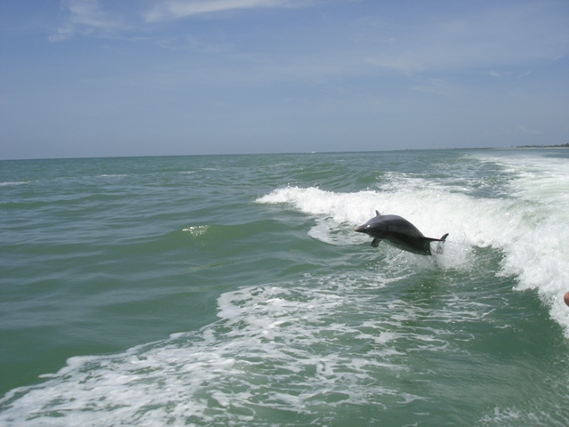 Sanibel Thriller