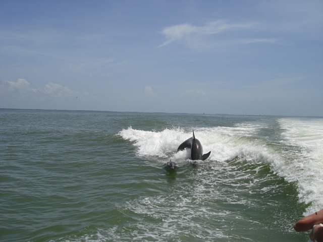 Sanibel Thriller