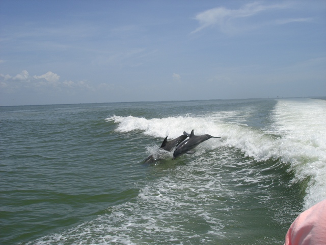 Sanibel Thriller
