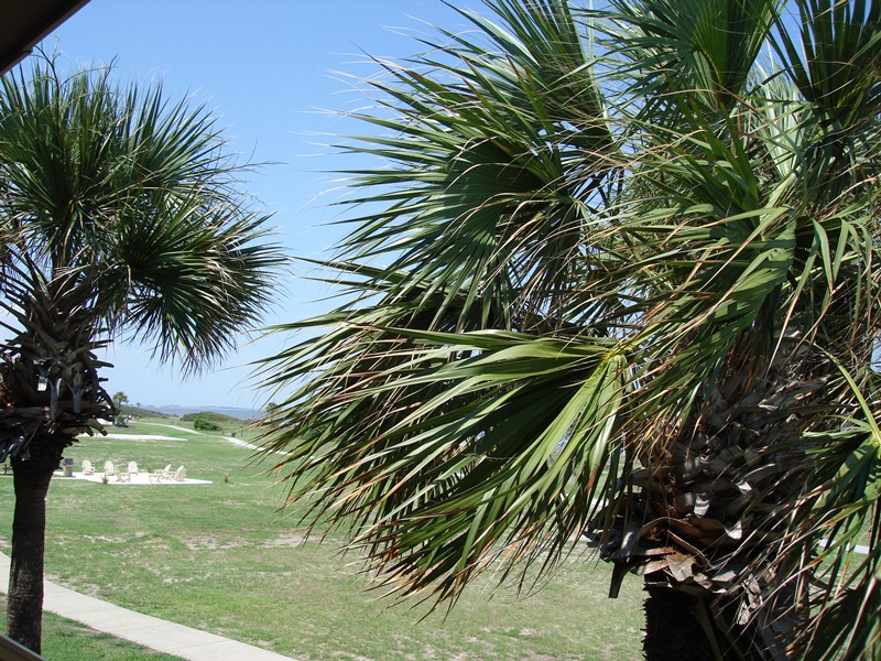 Zimmeraussicht Jekyll Island Zimmeraussicht Jekyll Island