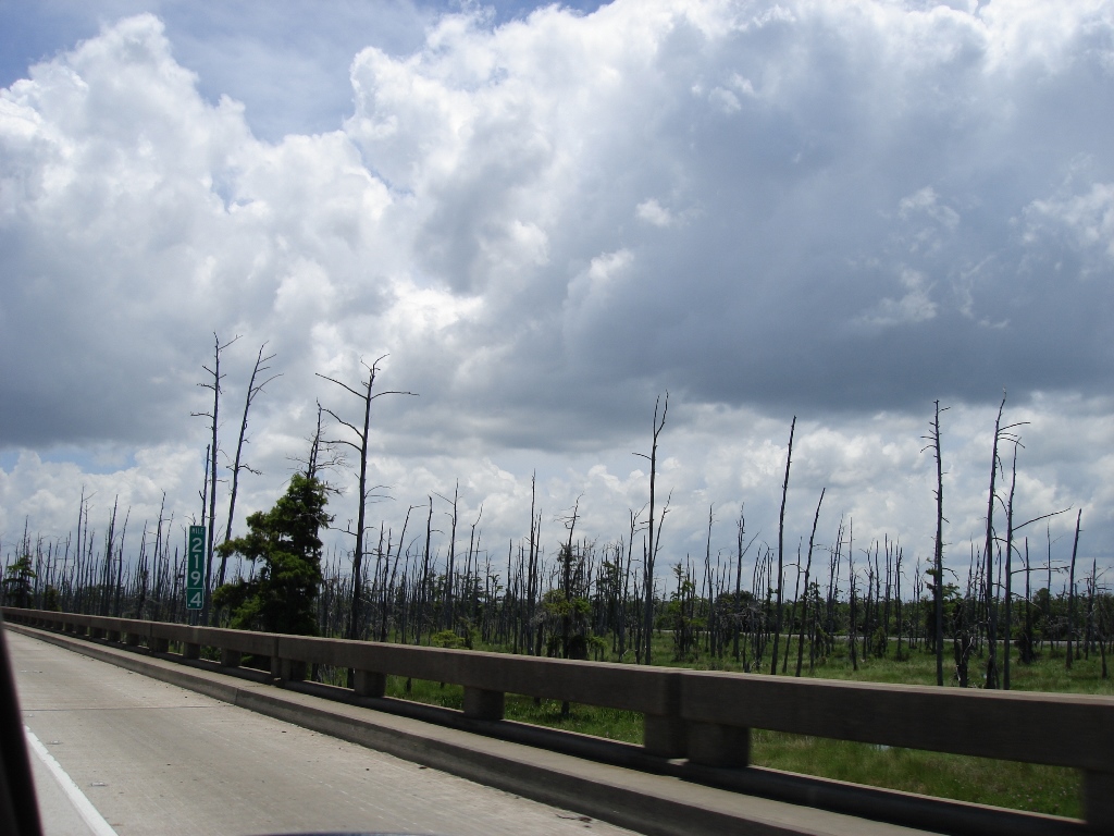 Richtung Süden nach New Orleans