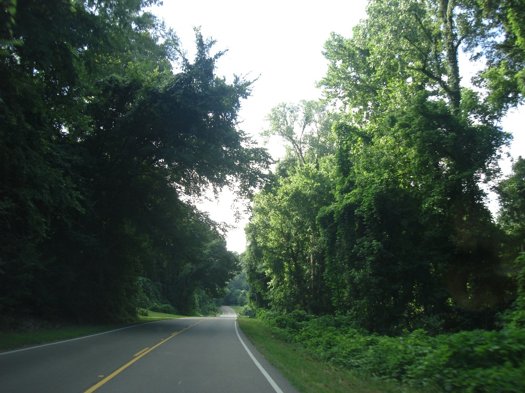Straße durch den Urwald