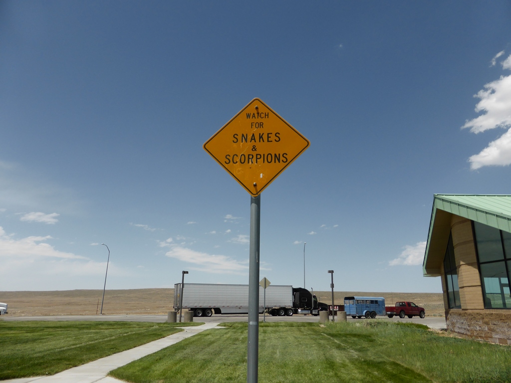 Watch for Snakes & Scorpions Watch for Snakes & Scorpions