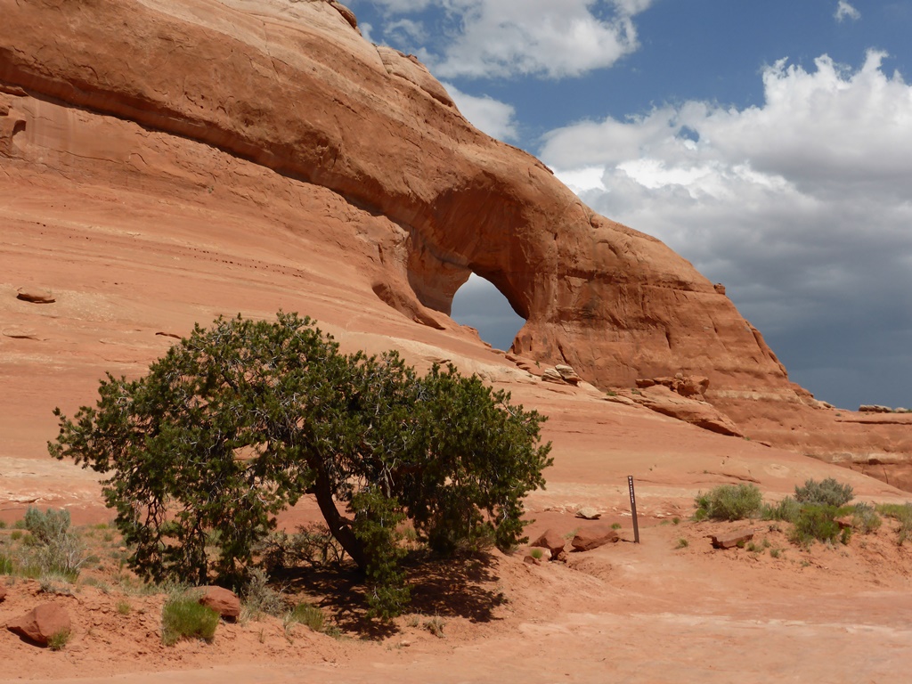 Looking Glas Rock