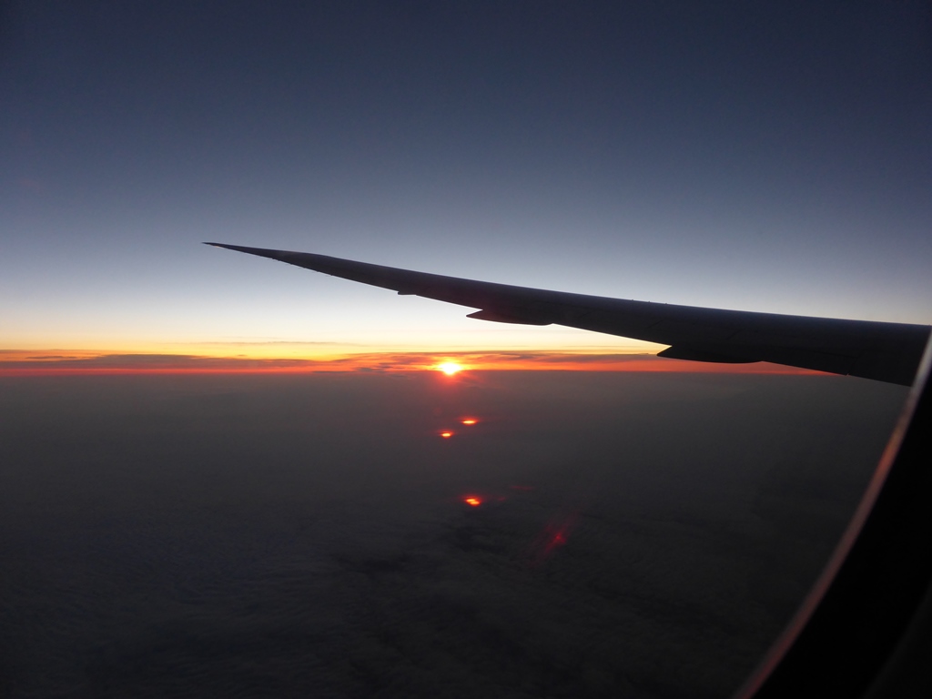 Heimflug Heimflug