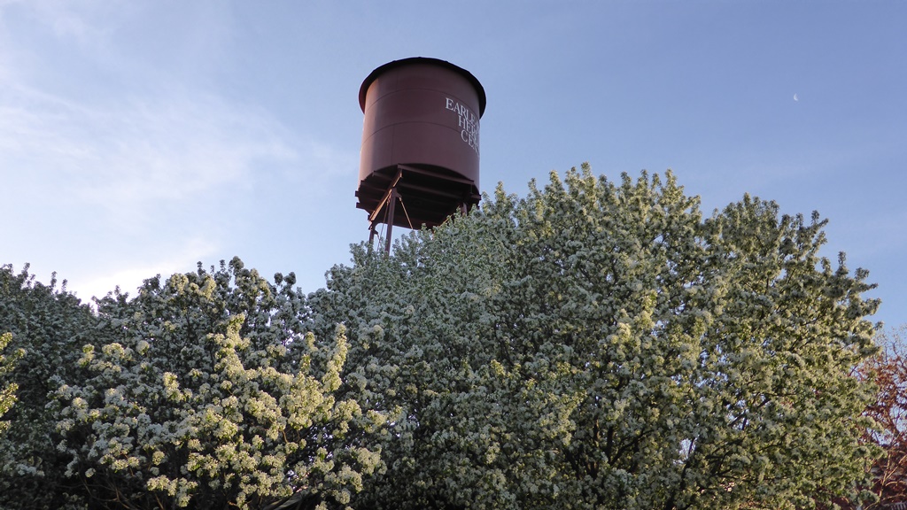 Blüten Blüten