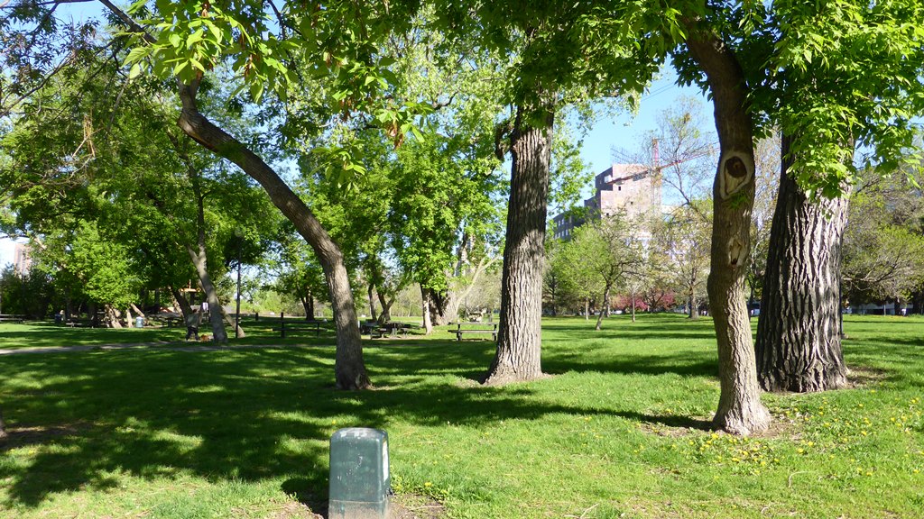 Park an der Stone Arch Bridge Park an der Stone Arch Bridge