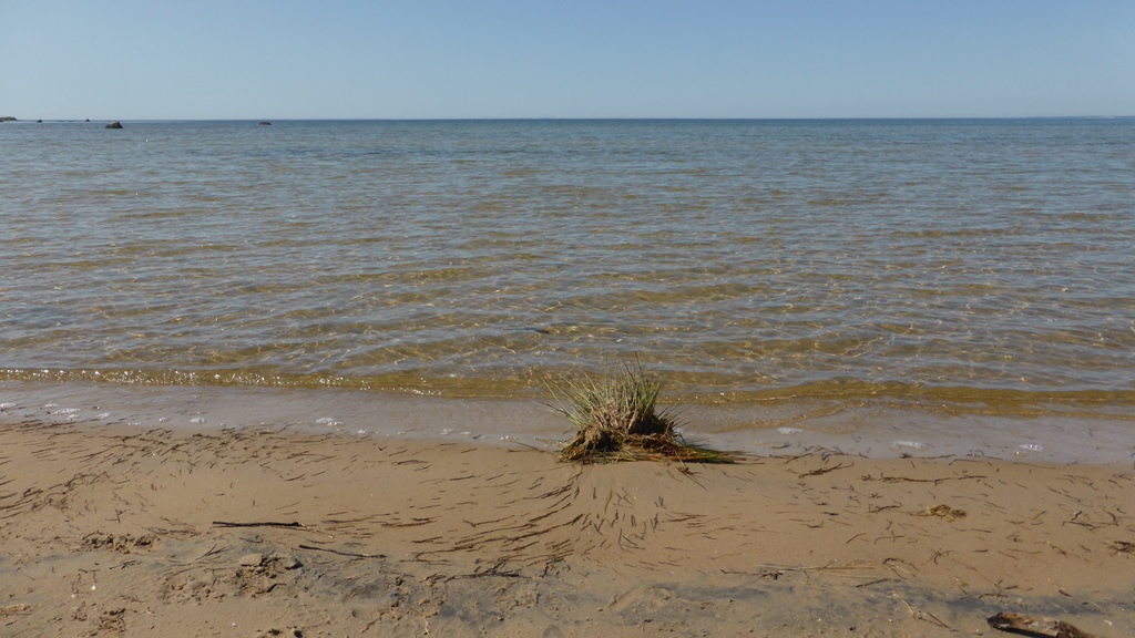 Nordufer Lake Michigan Nordufer Lake Michigan