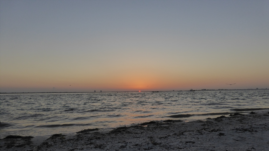 Sonnenaufgang auf Sanibel Island