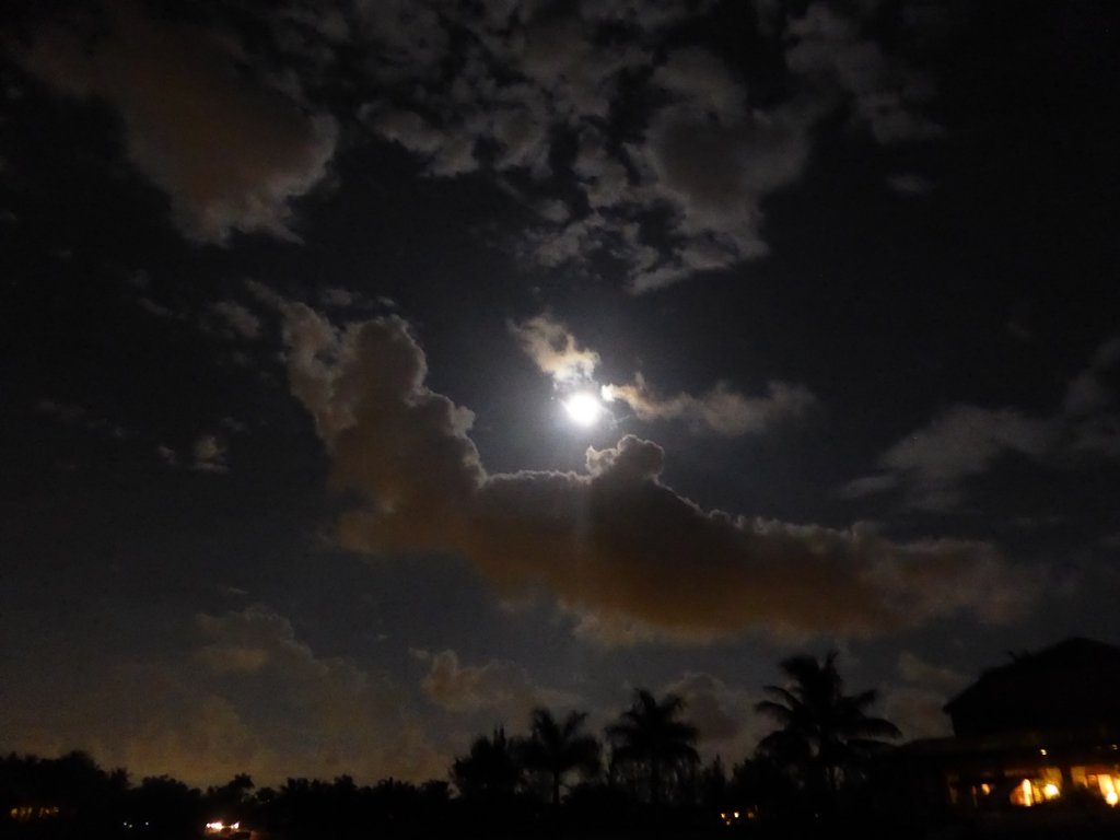 Vollmond über Florida Vollmond über Florida