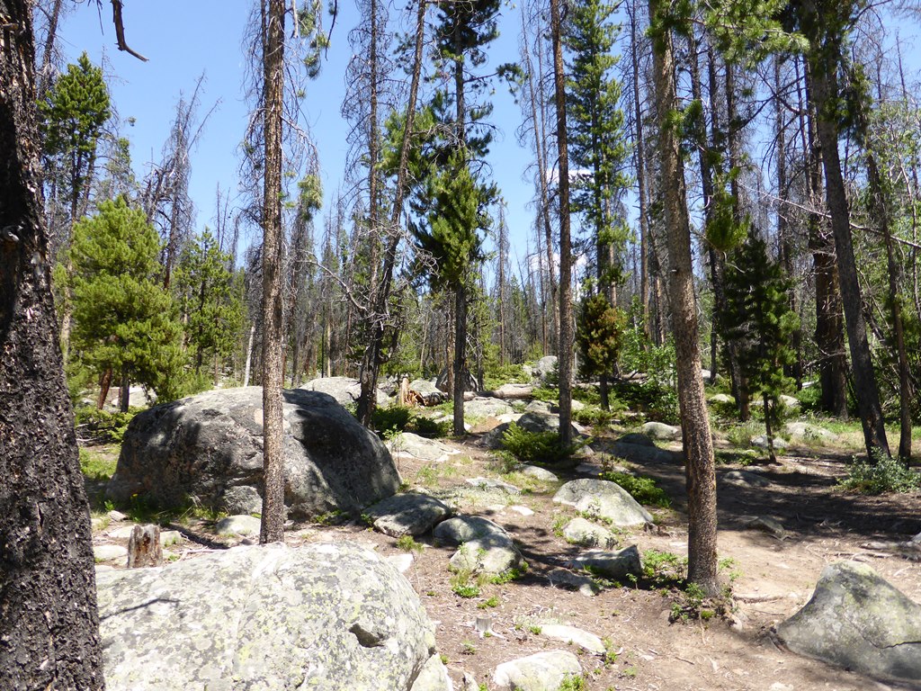 Rocky Mountain National Park