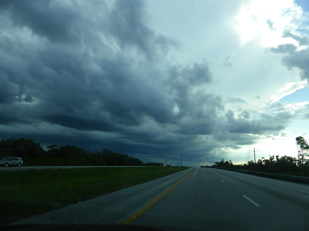 Hello Florida! Hello Florida!